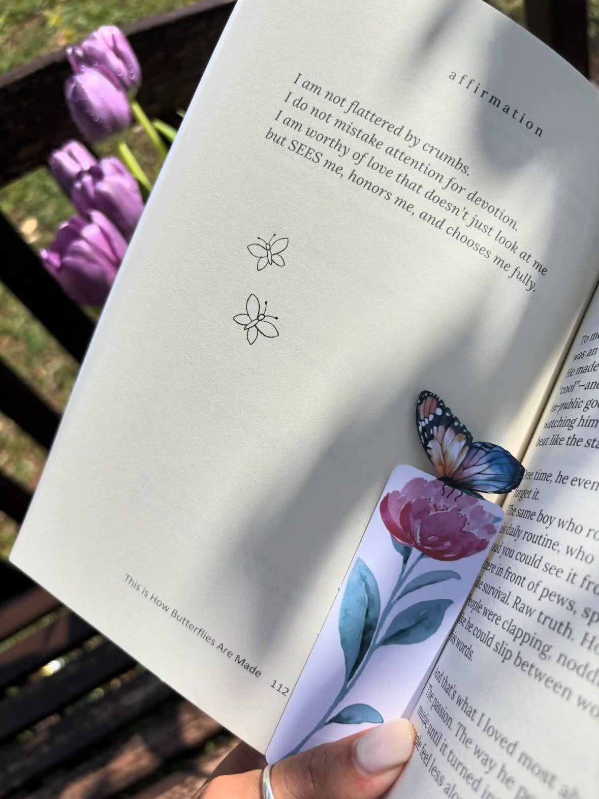 This Is How Butterflies Are Made – Book